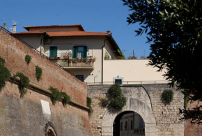 The Nest Grosseto